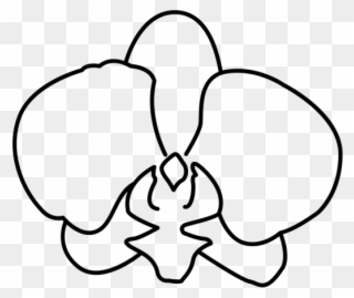 Orchid Clipart Coloring Page - Line Art - Png Download
