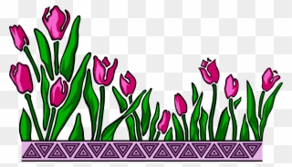 Vector Illustration Of Bulbous Plant Spring Tulips - Alnımızda Bilgilerden Bir Çelenk Clipart
