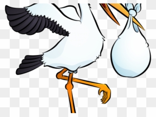 Stork Clipart Baby Outline - Baby Stork Art Transparent - Png Download
