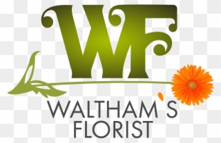 Waltham, Ma Florist - English Marigold Clipart