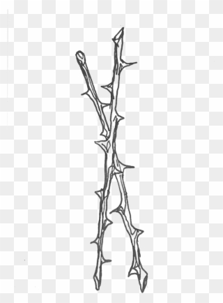 796 X 1061 2 - Line Art Clipart