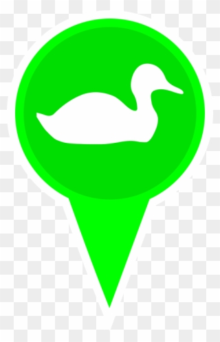Algarve Birdwatching - Illustration Clipart