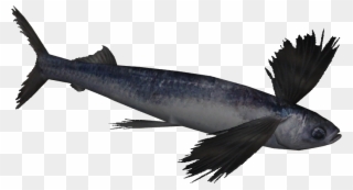 Flying Fish .png Clipart