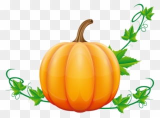 Pumpkin Clipart Vine - Fall Pumpkin Clip Art - Png Download