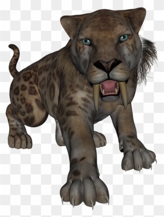 Saber Toothed Tiger Saber Tooth Tiger - Stone Age Animals Clipart