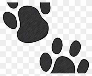 Wildcat Clipart Bear Claw - Paw - Png Download