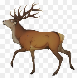 Elk Clipart Golden Deer - Elk - Png Download