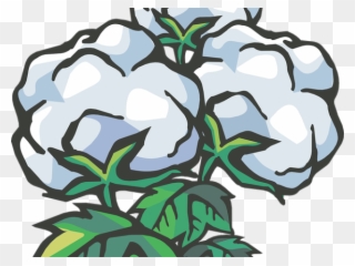 Cotton Clipart Cotton Ball - Transparent Background Cotton Clipart - Png Download