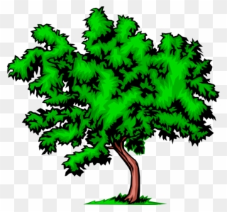 Vector Illustration Of Bushy Deciduous Tree - Things Related To The Environment Clipart