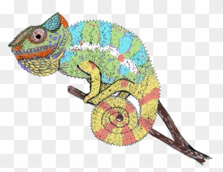 Chameleon - Chameleon Drawing Clipart