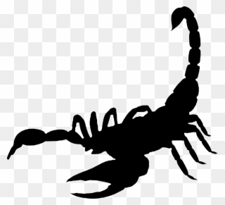 Scorpion,arachnida ,silhouette,free Vector Graphics,free - Vis A Vis Frases Clipart