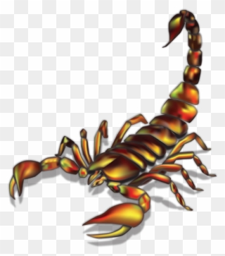 Scorpion Illustration - Realistic Scorpion Tattoo Ideas Clipart