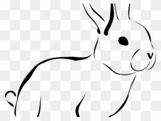 Rabbit Clipart Conejo - Rabbit - Png Download