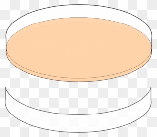 Plate Clipart Orange - Clip Art - Png Download