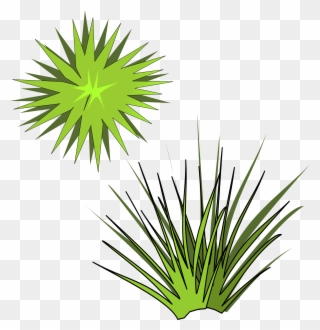 Clipart - Plant-05 - Plant Illustration From Above - Png Download