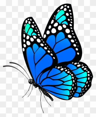 Butterfly Blue Png Clip Art Imageu200b Gallery Yopriceville Transparent Png