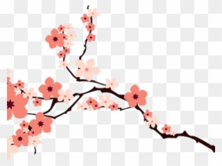 Cherry Blossom Clipart File - Cherry Blossoms Vector - Png Download