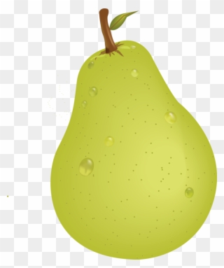 Pear - Vector Pear Clipart
