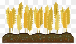 Vector Freeuse Agriculture Clipart Crop - Clip Art - Png Download