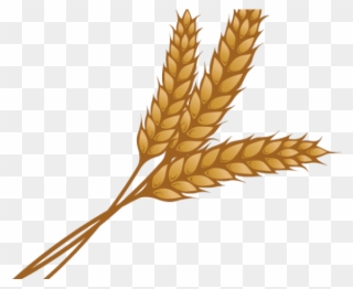 Wheat Clipart Single Piece - Wheat Clipart - Png Download