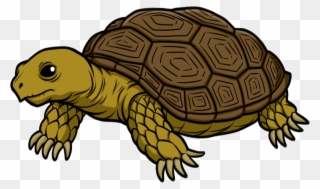 Tortoise - Tortoise Clipart - Png Download