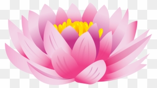 Lotus Flower Images Png Clipart