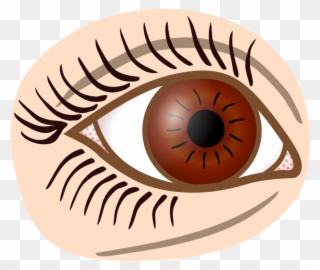 Medium Image - Simple Line Drawing Eye Clipart