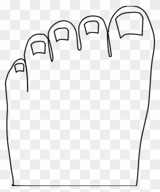 Toe Foot Human Body Computer Icons - Clipart Black And White Toe - Png Download