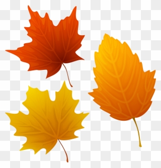 Top 88 Autumn Leaves Clip Art - Fall Leaf Clip Art Png Transparent Png