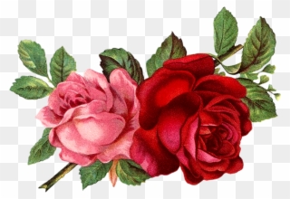 Flores Rojas Vintage Png Clipart