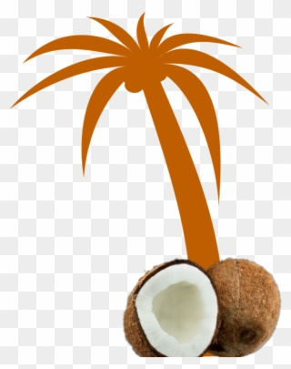 Mq Orange Palmtree Palm Coconut - Palm Tree Clip Art - Png Download