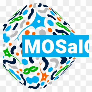 The Mosaic Project Funded By Era Chairs Horizon 2020 Clipart