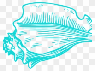 Shell Clipart Teal - Clip Art Conch Shell Png Transparent Png