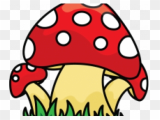 Drawn Mushroom Wild Mushroom - Mushrooms Draw Png Clipart