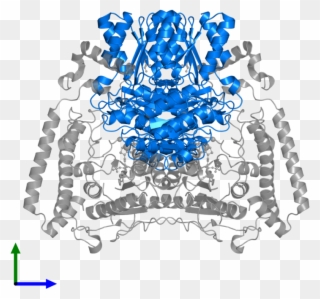 <div Class='caption-body'>pdb Entry 1x7w Contains 2 - Illustration Clipart