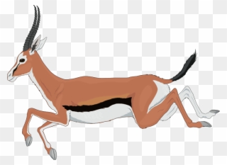 Impala Clipart Springbok - Desenho De Gazela Correndo - Png Download