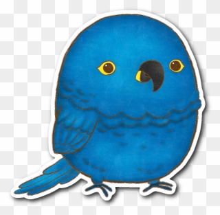 Hyacinth Macaw Sticker - Illustration Clipart