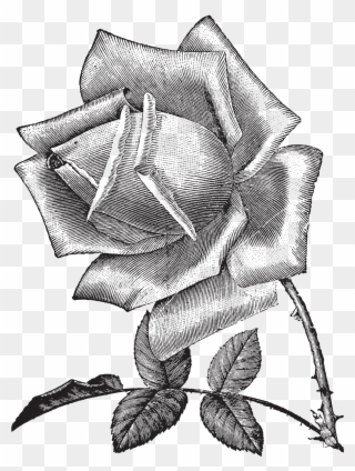 1857 X 2466 5 - Sketch Clipart