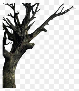 Isolated The Tree - Spooky Tree Transparent Clipart