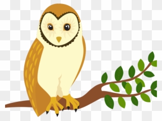 Bird Of Prey Clipart Barn Owl - Perch Clipart - Png Download