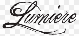 I Always Wanted To Be A Fashion Photographer, But I - Lumiere Calligraphy Clipart