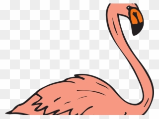 Flamingo Clipart Real - Flamingo Birds Swimming - Png Download