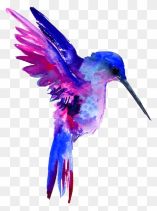 Report Abuse - Watercolor Hummingbird Clipart Free - Png Download