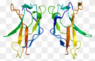 Rel Protein Structure Clipart