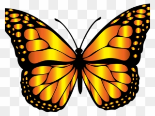 Monarch Butterfly Clipart Png Full Hd - Butterfly Insect Clipart Transparent Png