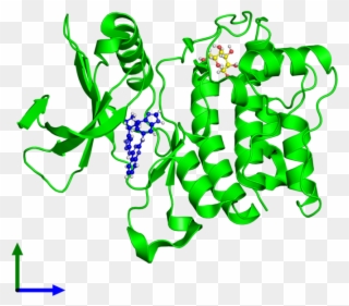 Three Structures Of The Human Gene Product In The Pdb - Illustration Clipart