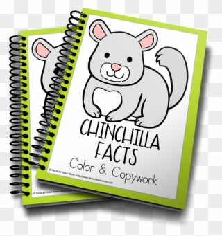 Chinchilla - Savings Tracker Coloring Pages Clipart