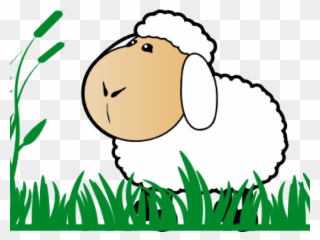 Grass Clipart Sheep - Cartoon Sheep - Png Download