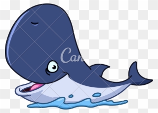 800 X 574 2 - Happy Whale Cartoon Clipart