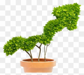 “the Private Investors Provide What Is Defined As Smart - Watering A Small Plant Clipart
